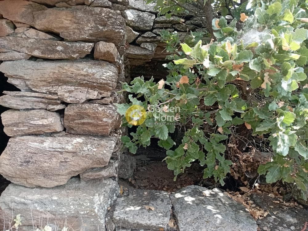 Building Plot in Agia Mavra, Kea — Photo 8 of 16