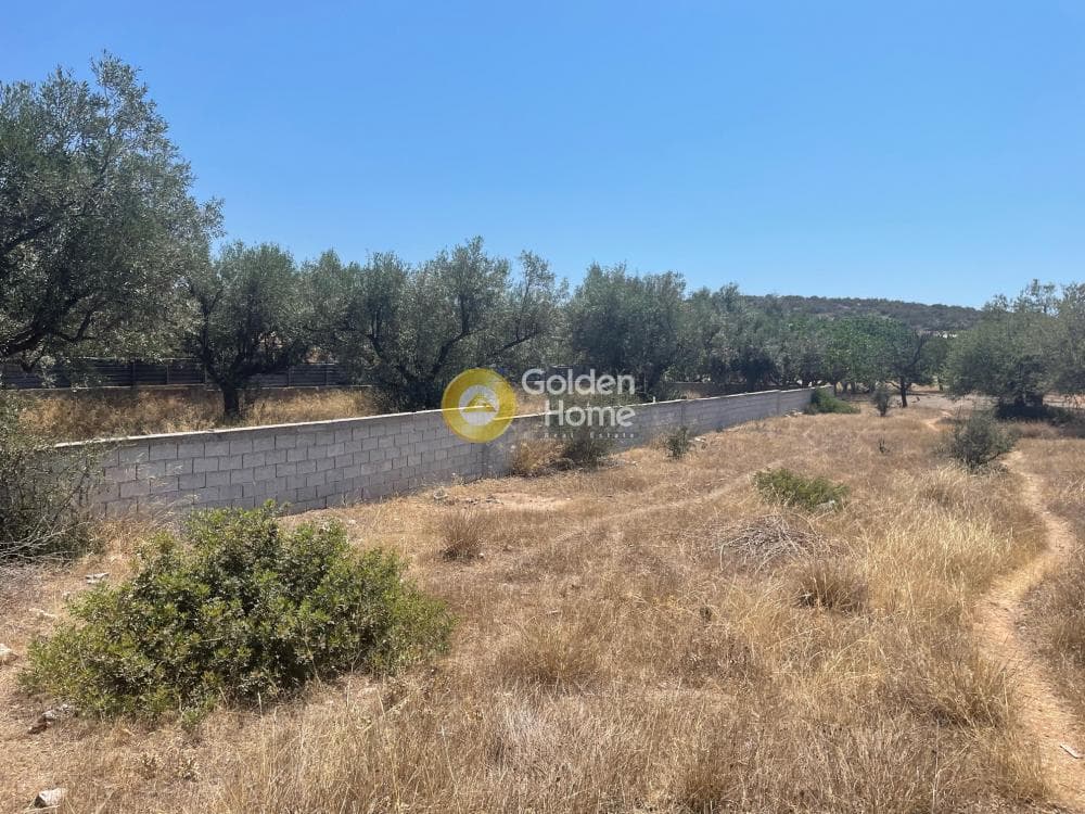 Building Plot in Lamprika, Koropi — Photo 1 of 3