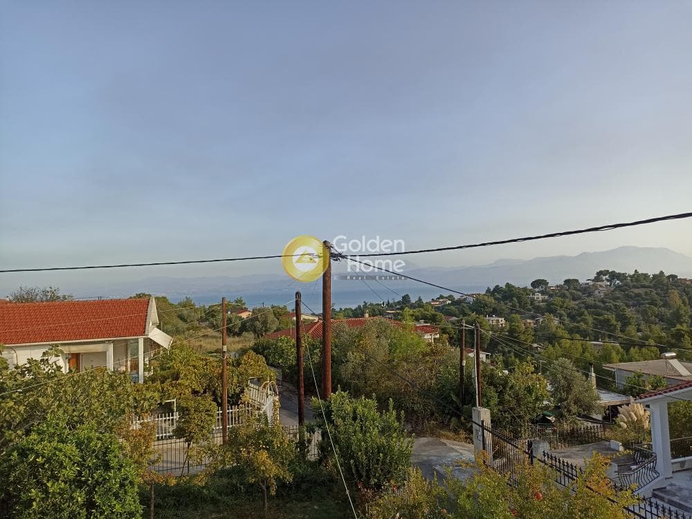 Μονοκατοικία στην Παναγιά, Οινόφυτα — Φωτογραφία 1 από 41