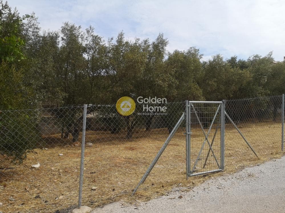 Οικόπεδο στην Γαλάζια ακτή, Καλύβια Θορικού — Φωτογραφία 5 από 6