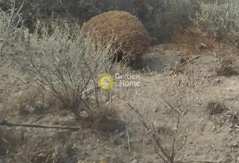 Οικόπεδο στην Λιβάδι, Σέριφος — Φωτογραφία 2 από 5