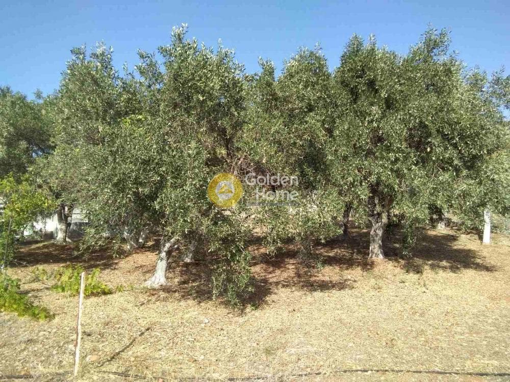 Μονοκατοικία στην Κέντρο, Μαραθώνας — Φωτογραφία 3 από 9