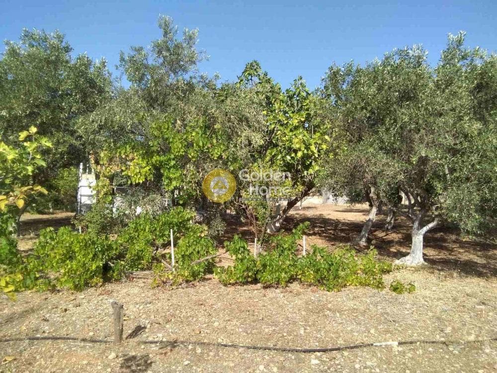 Μονοκατοικία στην Κέντρο, Μαραθώνας — Φωτογραφία 1 από 9