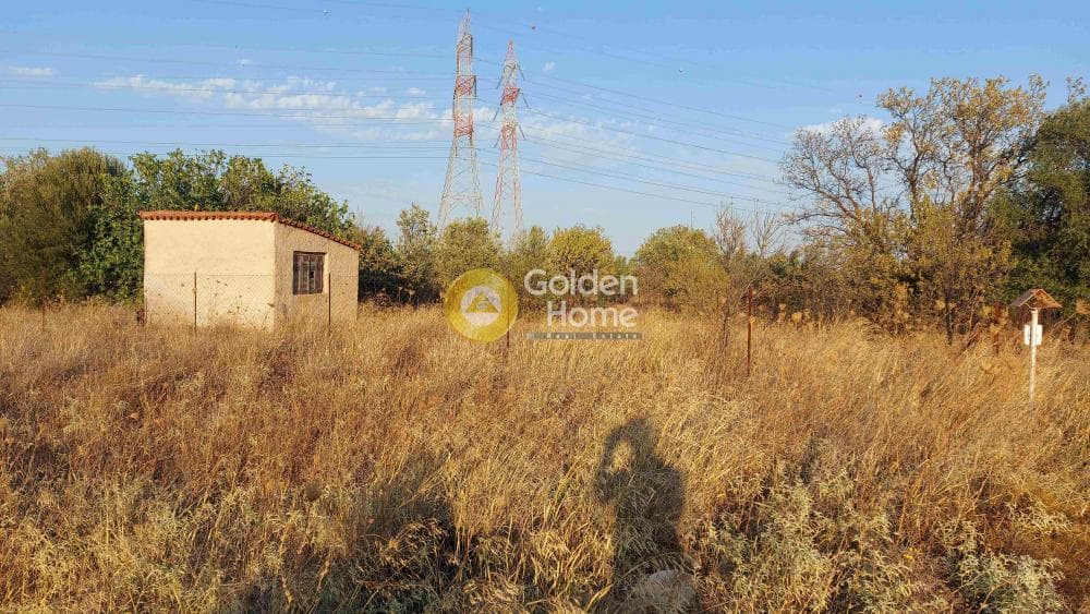 Αγροτεμάχιο στην Καρελλάς, Παιανία — Φωτογραφία 2 από 10