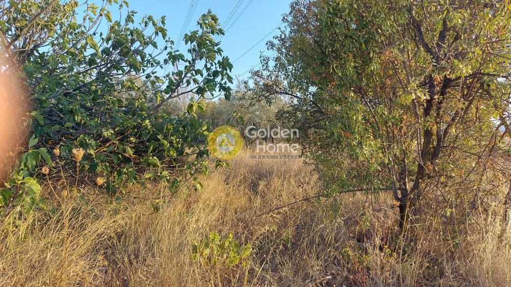 Αγροτεμάχιο στην Καρελλάς, Παιανία — Φωτογραφία 9 από 10