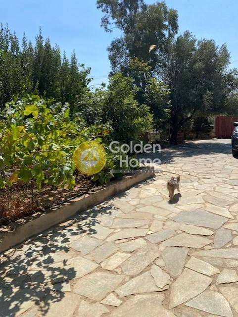 House in Mikrolimano, Lavrio — Photo 56 of 61