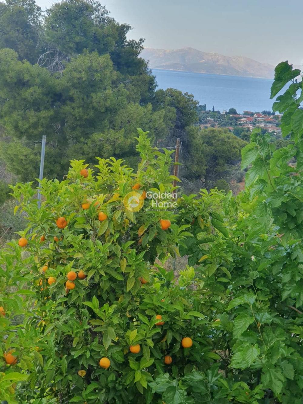 Μονοκατοικία στην Βλαστός, Κάλαμος — Φωτογραφία 1 από 8