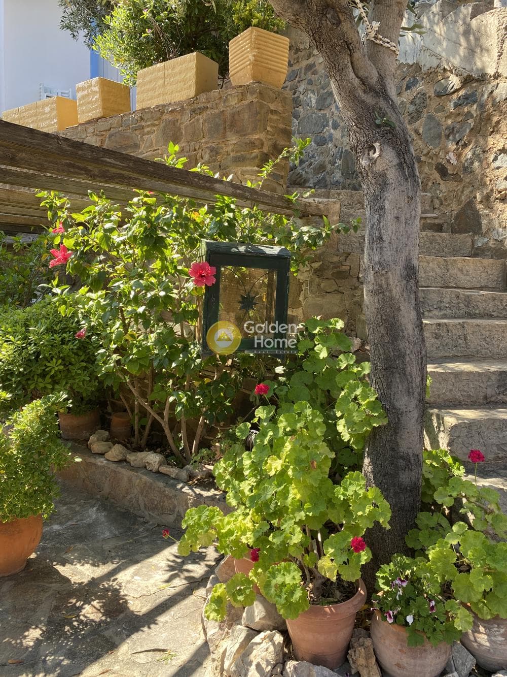 Μονοκατοικία στην Αμάνη, Χίος — Φωτογραφία 32 από 44