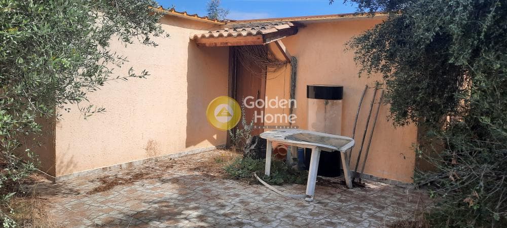 Μονοκατοικία στην Αγία Τριάδα, Μαρκόπουλο — Φωτογραφία 12 από 21