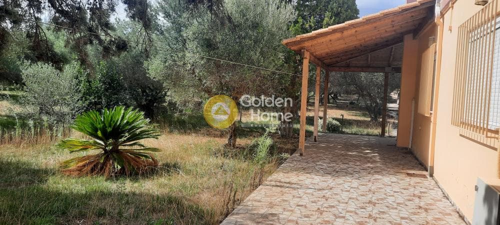 Μονοκατοικία στην Αγία Τριάδα, Μαρκόπουλο — Φωτογραφία 10 από 21