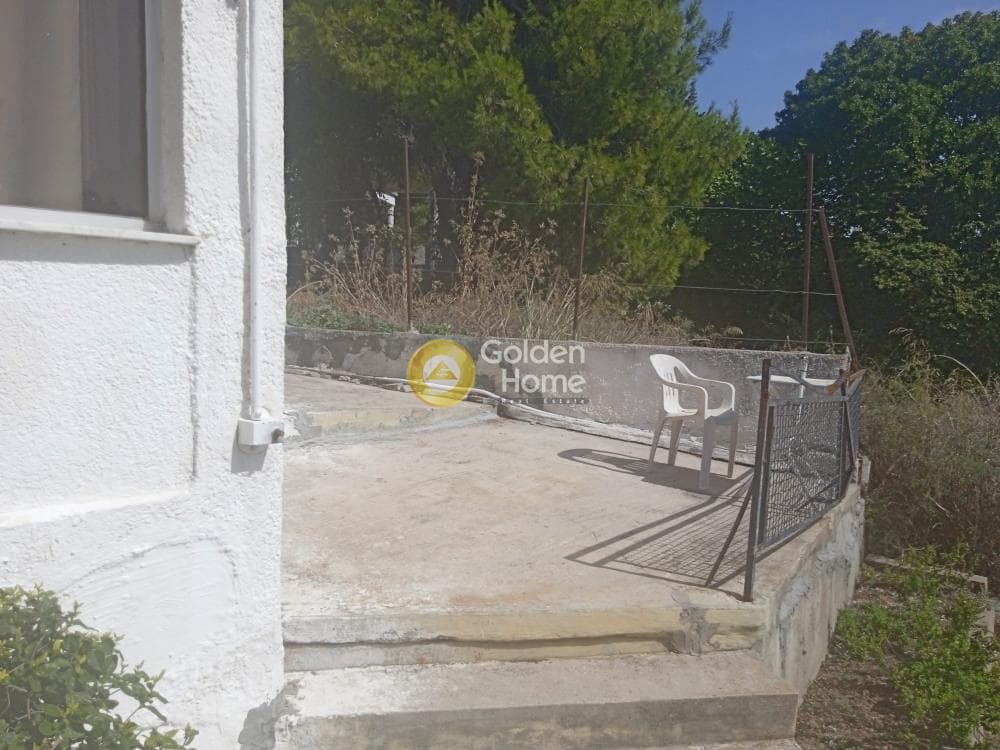 Οικόπεδο στην Δάσος Κουρεμένου, Άγιος Στέφανος — Φωτογραφία 2 από 29