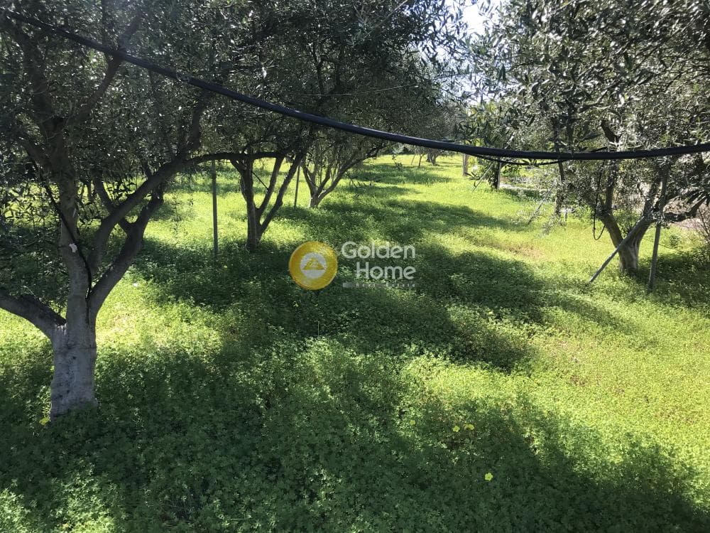 Μονοκατοικία στην Κέντρο, Βέλο — Φωτογραφία 15 από 78