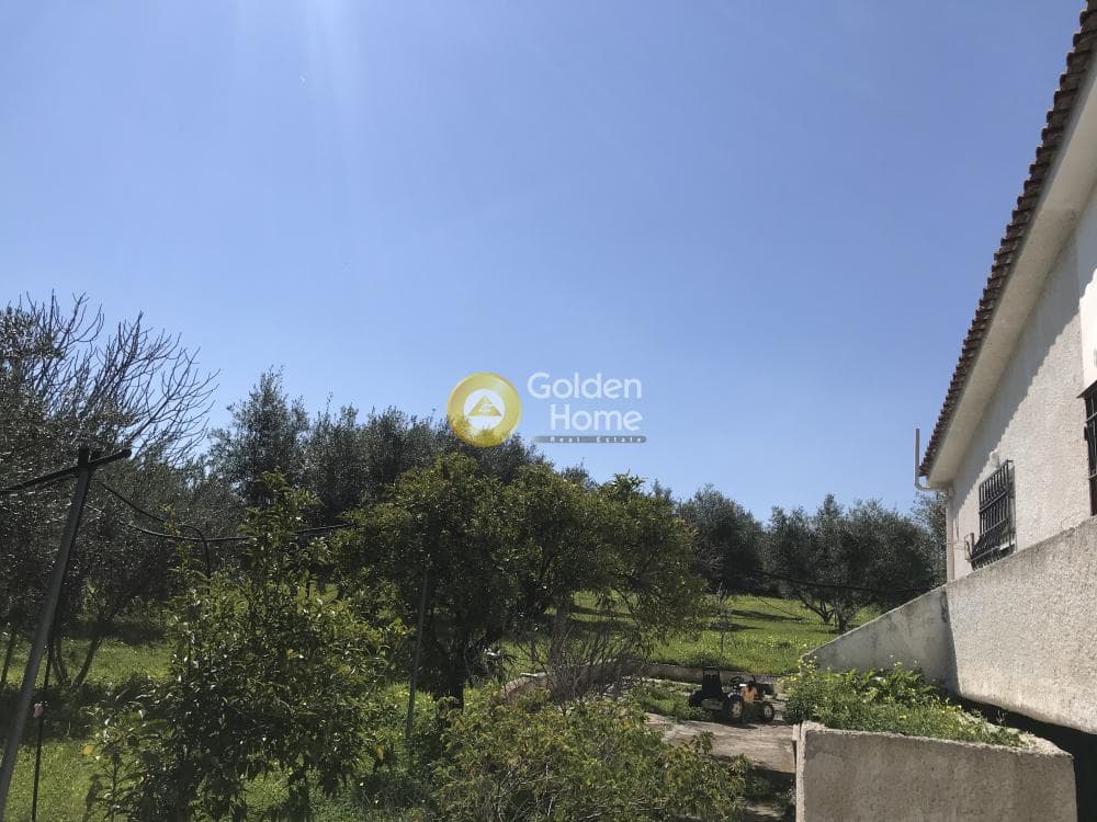 Μονοκατοικία στην Κέντρο, Βέλο — Φωτογραφία 16 από 78