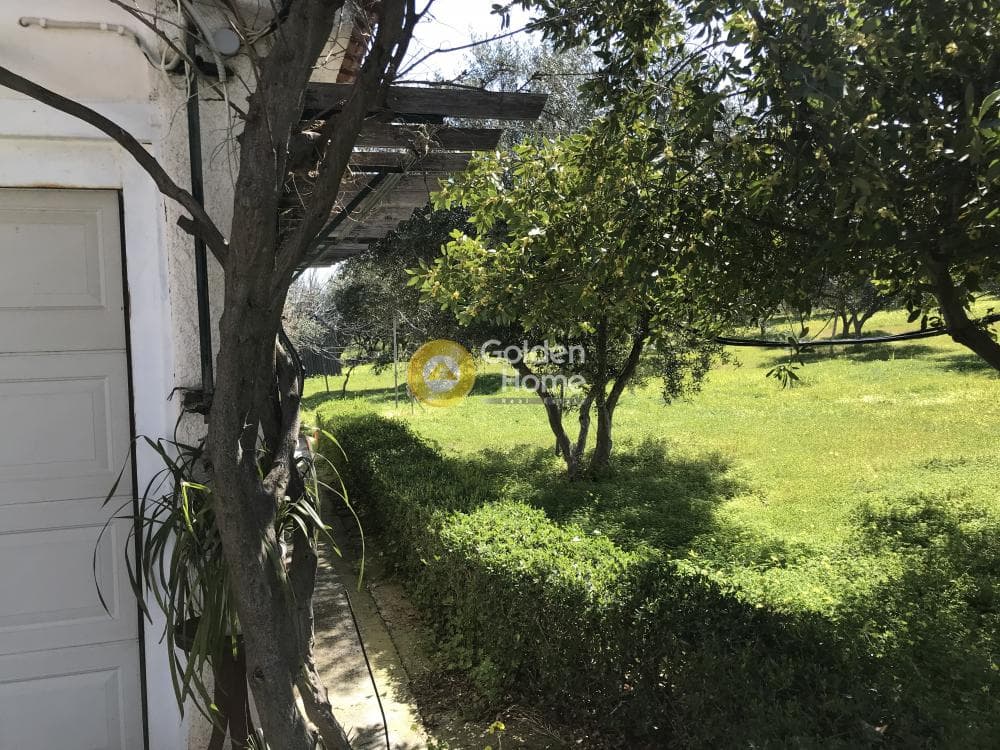 Μονοκατοικία στην Κέντρο, Βέλο — Φωτογραφία 18 από 78