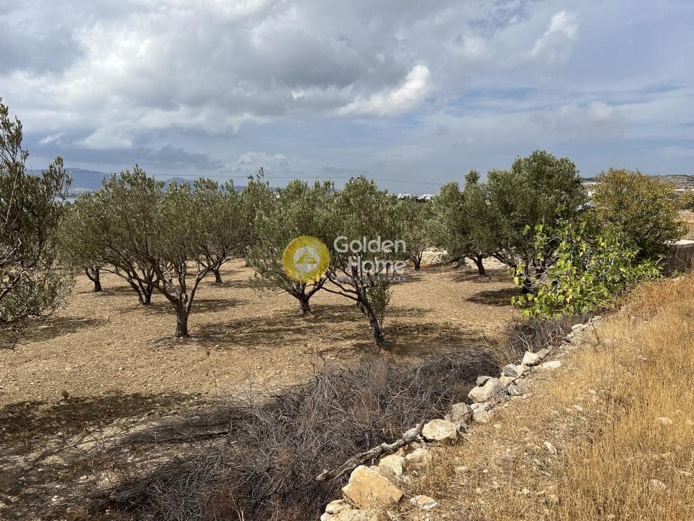 Parcel in Aliki, Paros — Photo 5 of 7