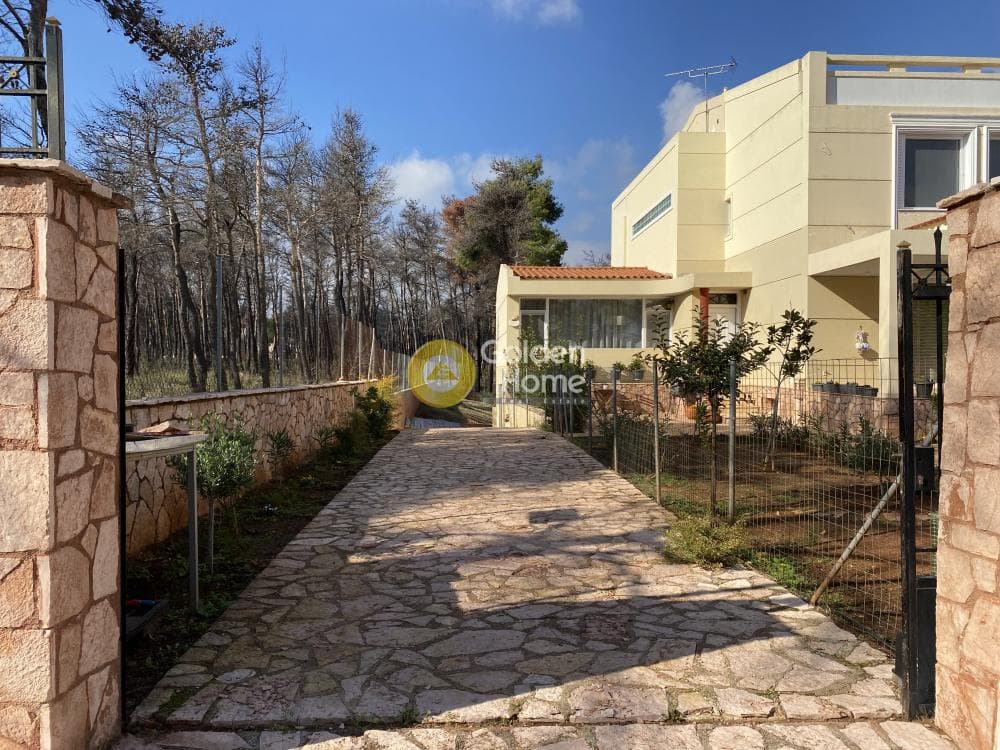 Μονοκατοικία στην Αγία Τριάδα, Αφίδνες — Φωτογραφία 3 από 19