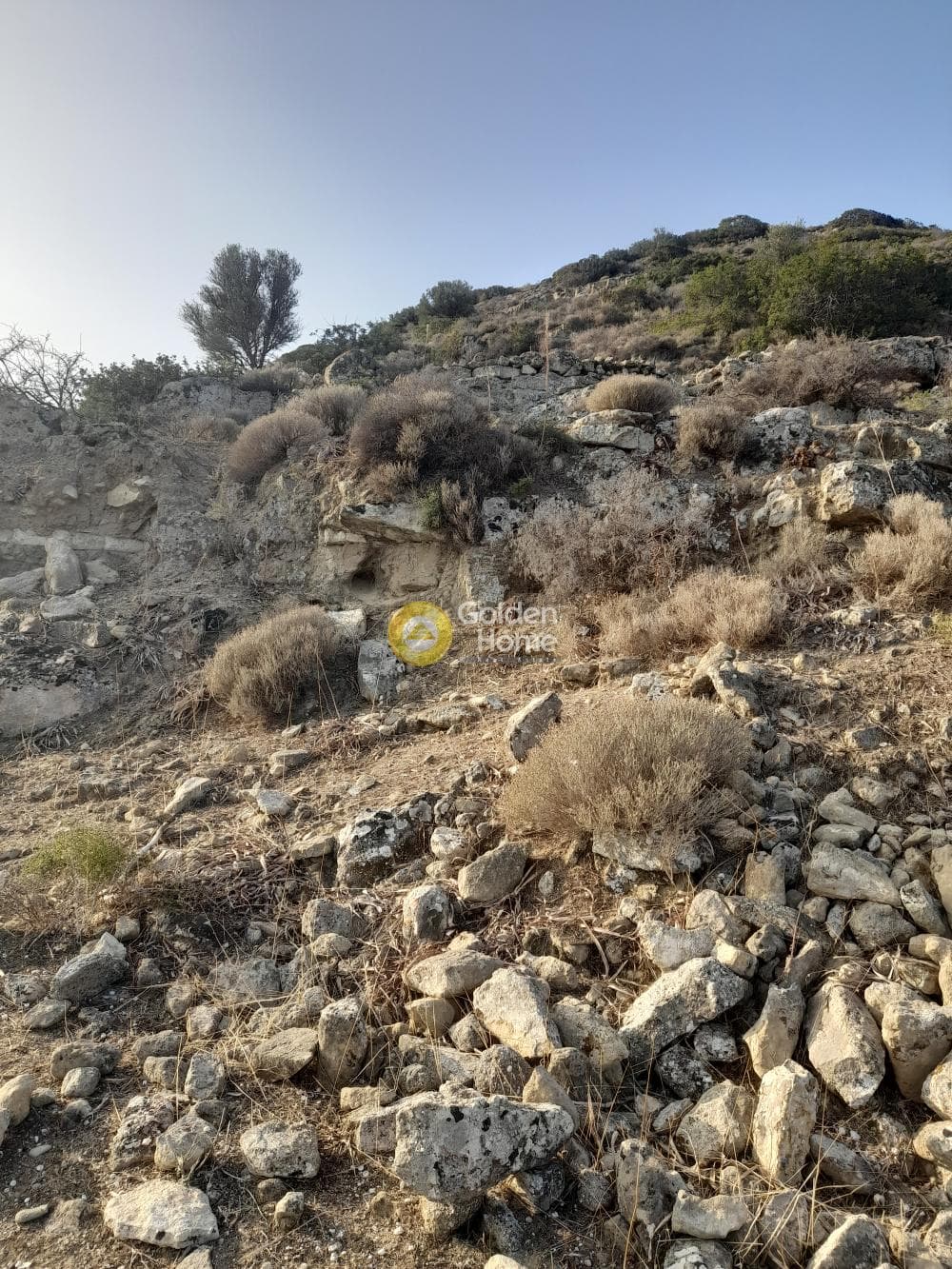 Οικόπεδο στην Πιτσίδια, Τυμπάκι — Φωτογραφία 6 από 9