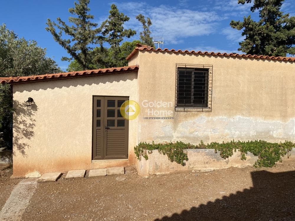 House in Paralia, Anavissos — Photo 48 of 57