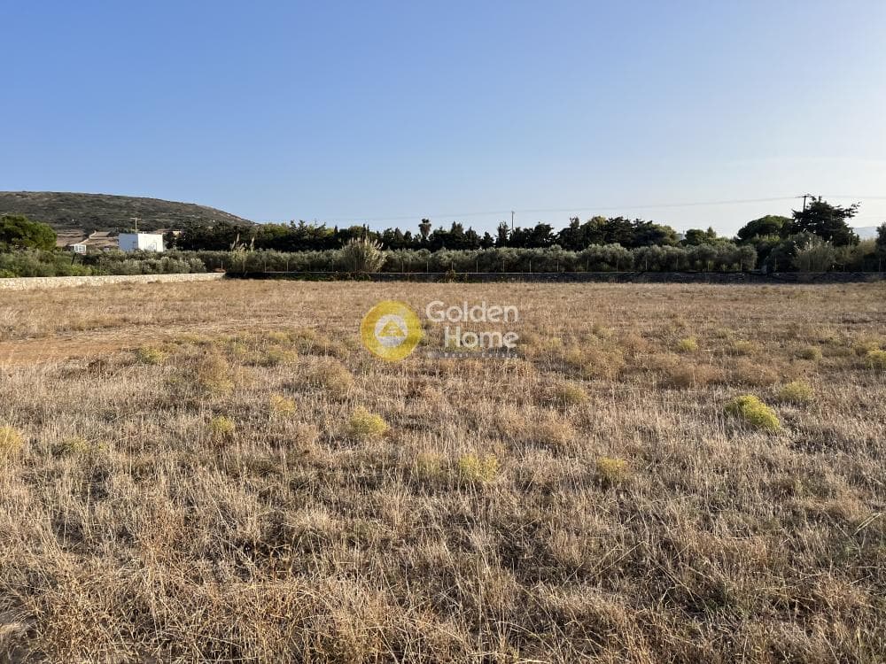 Parcel in Isterni, Paros — Photo 6 of 8
