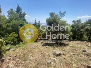Building Plot in Megala Sxoinia A, Acharnes — Photo 2 of 3