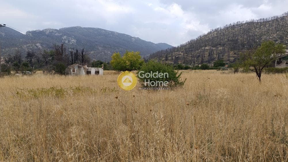 Αγροτεμάχιο στην Σταθμός Αφιδνών, Αφίδνες — Φωτογραφία 4 από 4