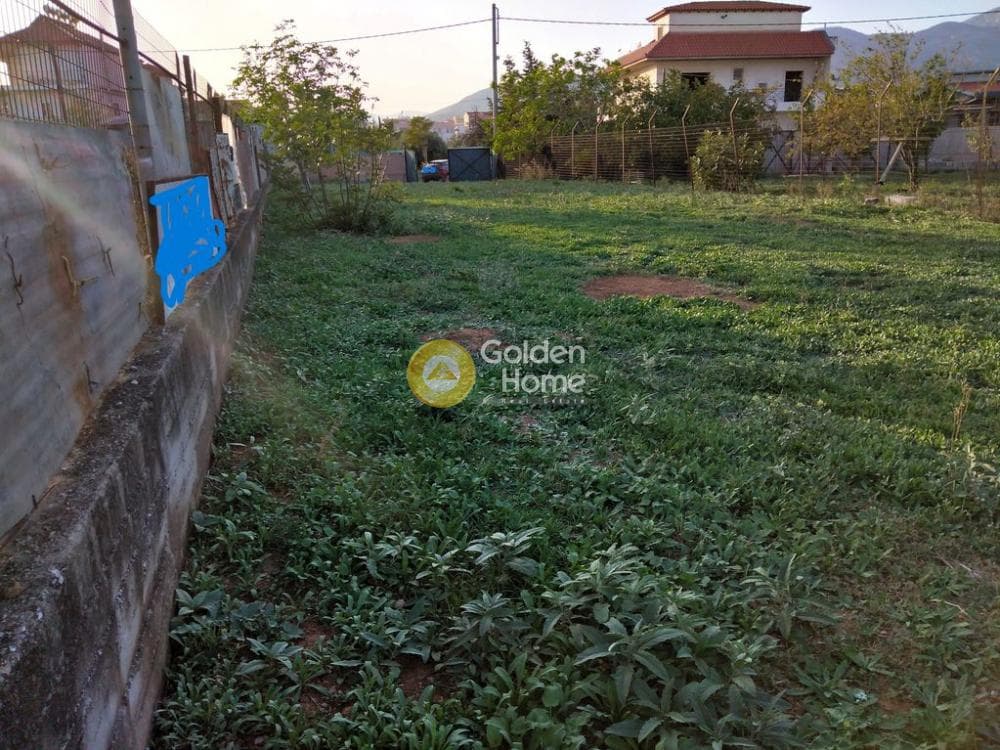 Αγροτεμάχιο στην Λαθέα, Ανθηδώνος — Φωτογραφία 9 από 9