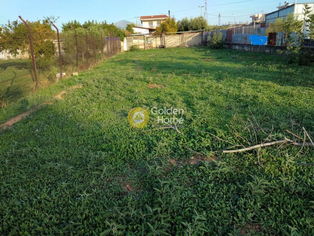 Αγροτεμάχιο στην Λαθέα, Ανθηδώνος — Φωτογραφία 5 από 9