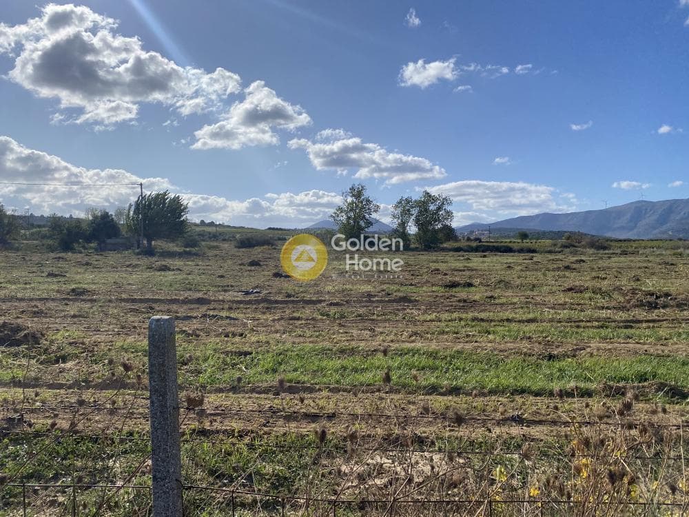 Parcel in Krieza, Distos — Photo 4 of 26