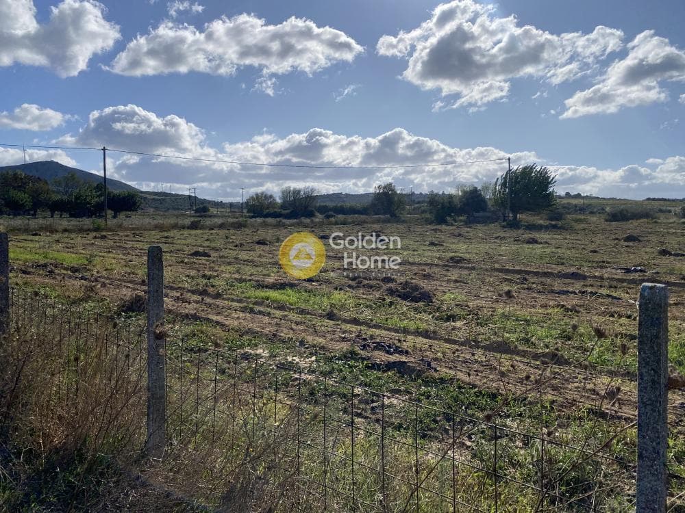 Parcel in Krieza, Distos — Photo 5 of 26