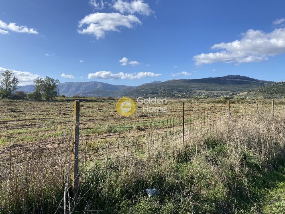 Parcel in Krieza, Distos — Photo 6 of 26