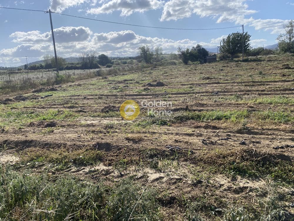 Parcel in Krieza, Distos — Photo 7 of 26