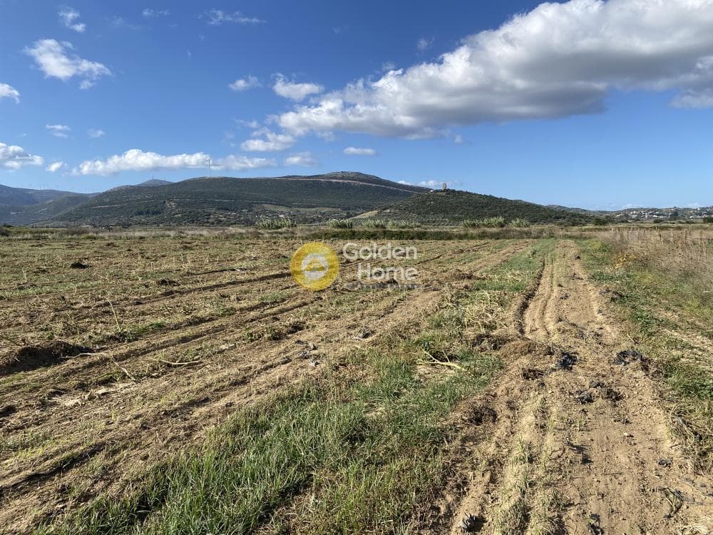 Parcel in Krieza, Distos — Photo 9 of 26