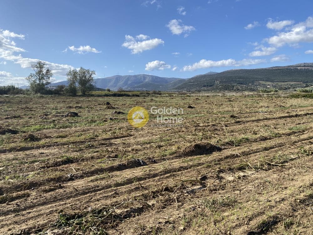 Parcel in Krieza, Distos — Photo 10 of 26