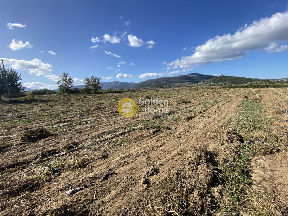 Parcel in Krieza, Distos — Photo 13 of 26