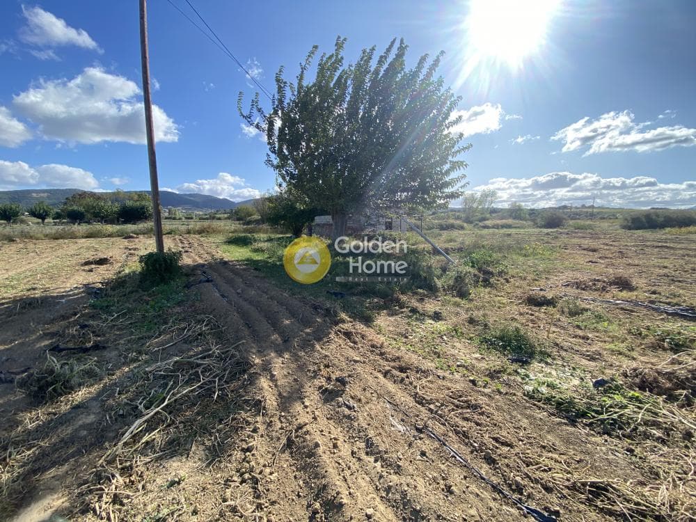 Parcel in Krieza, Distos — Photo 16 of 26