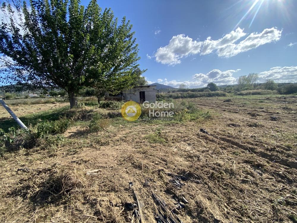 Parcel in Krieza, Distos — Photo 18 of 26