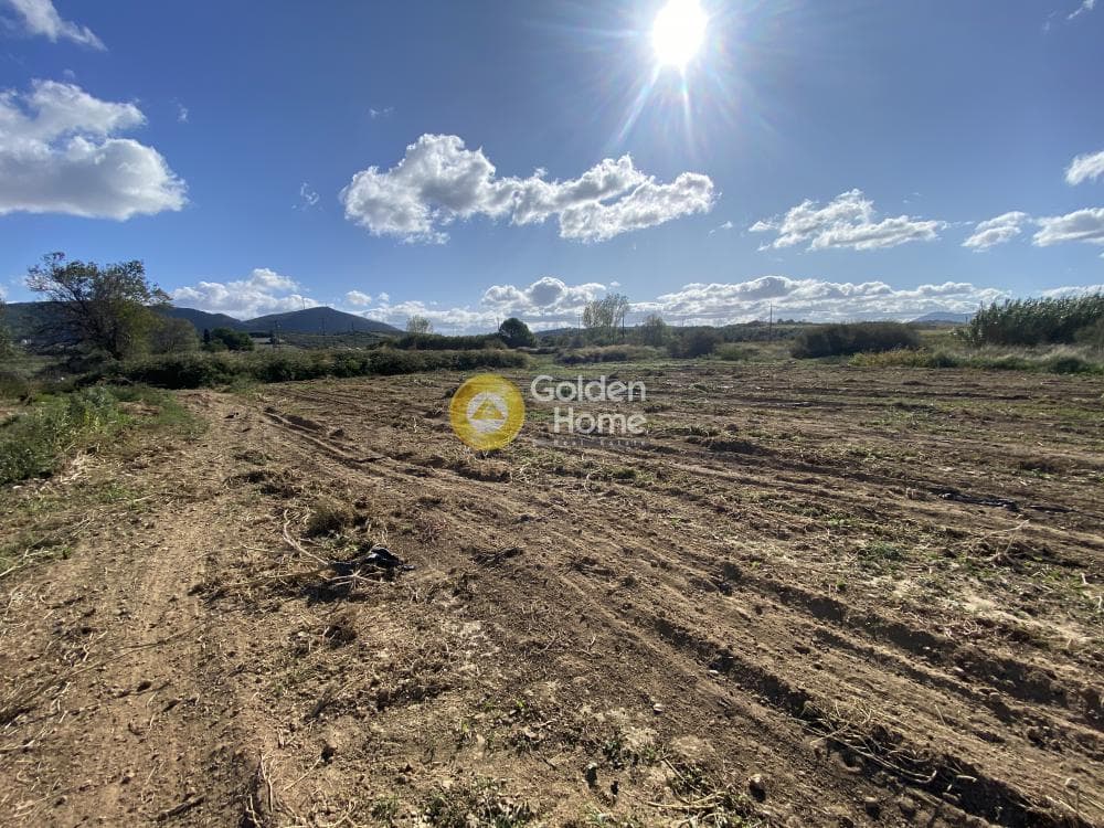 Parcel in Krieza, Distos — Photo 19 of 26
