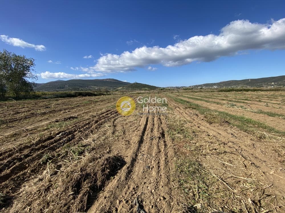 Parcel in Krieza, Distos — Photo 20 of 26