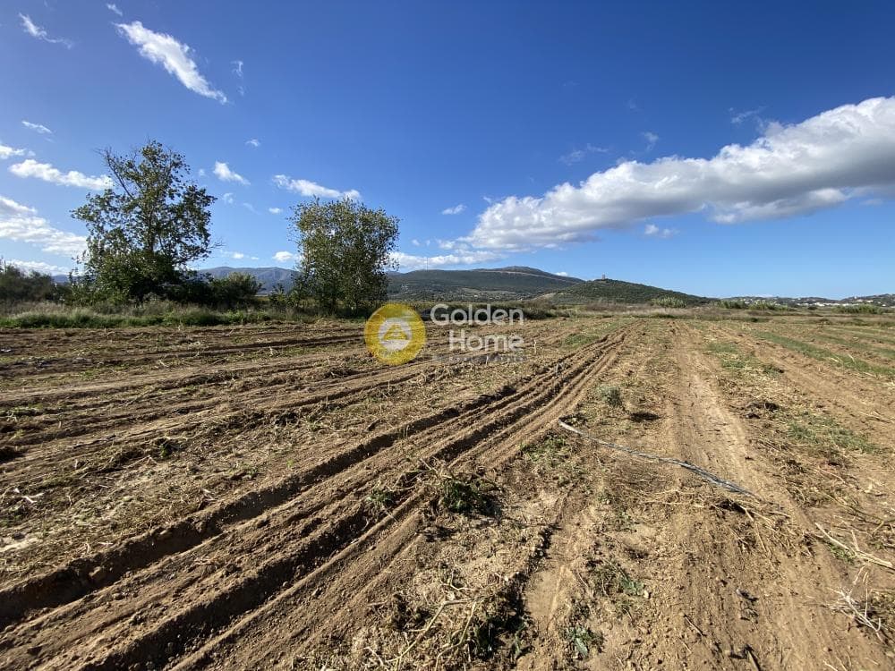 Parcel in Krieza, Distos — Photo 23 of 26