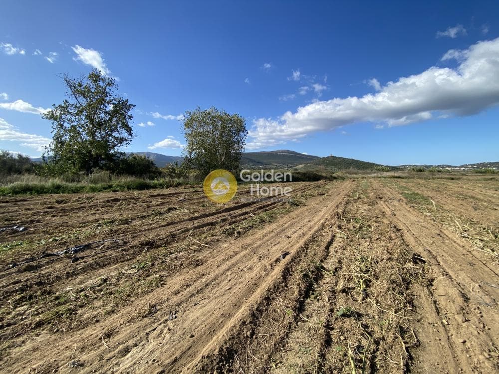 Parcel in Krieza, Distos — Photo 12 of 12