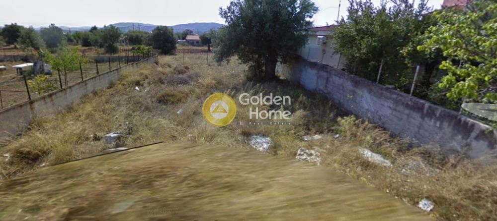 Αγροτεμάχιο στην Αγία Μαρίνα, Παιανία — Φωτογραφία 1 από 2