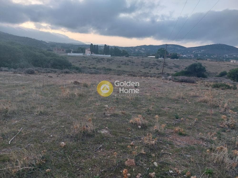 Αγροτεμάχιο στην Πεύκα, Κερατέα — Φωτογραφία 4 από 6