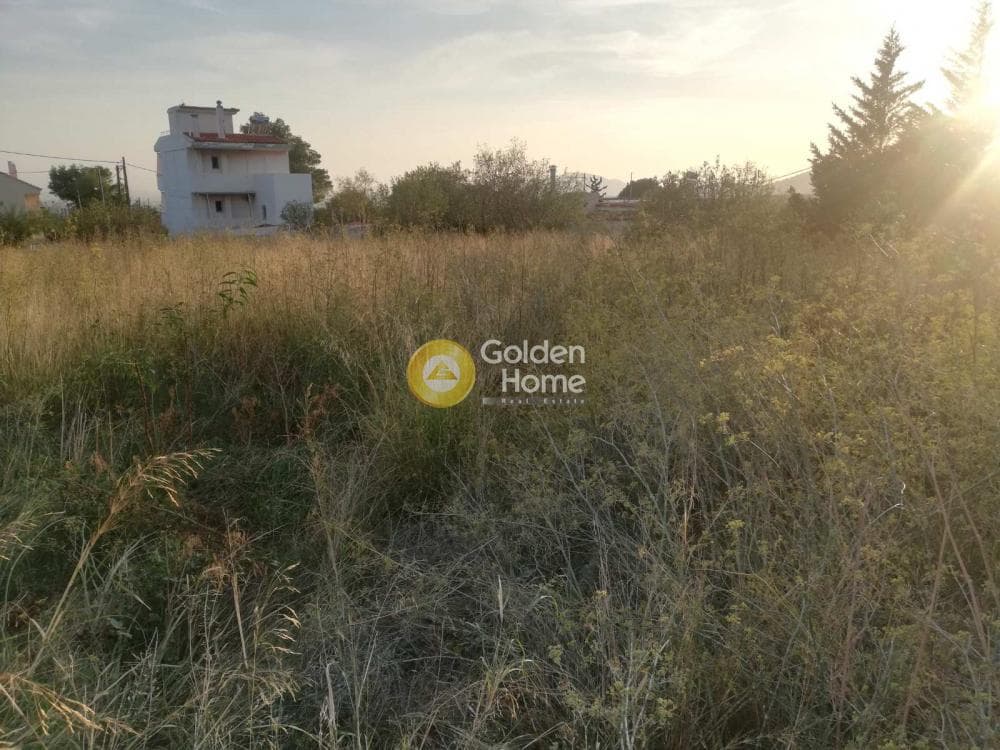 Οικόπεδο στην Μεγάλα Σχοινία Α, Αχαρνές — Φωτογραφία 3 από 3
