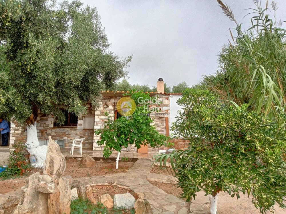 House in Kamariza, Lavrio — Photo 13 of 15