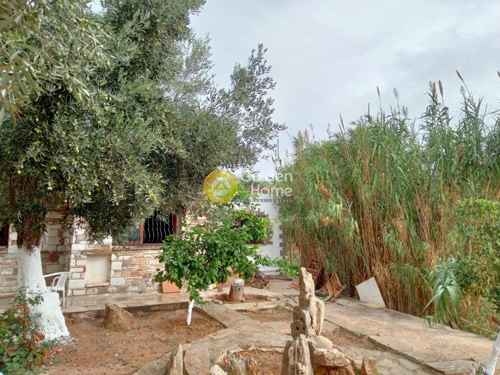 House in Kamariza, Lavrio — Photo 14 of 15