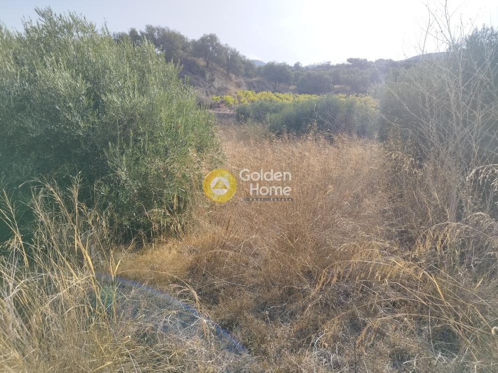 Αγροτεμάχιο στην Άγιος Σύλλας, Αρχάνες