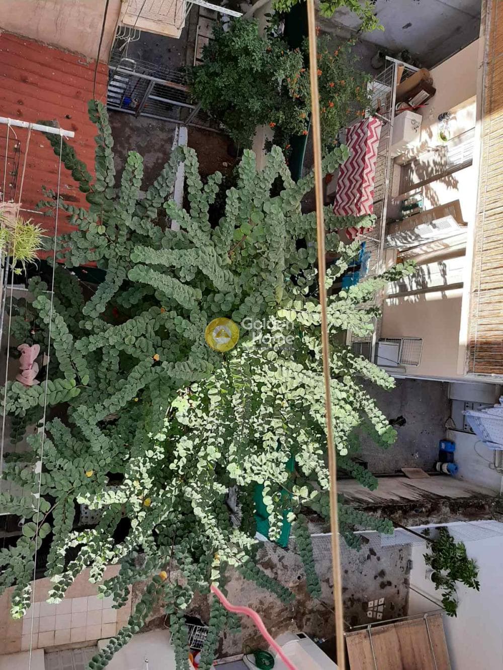 Διαμέρισμα στην Άγιος Παντελεήμονας, Αττική — Φωτογραφία 11 από 14