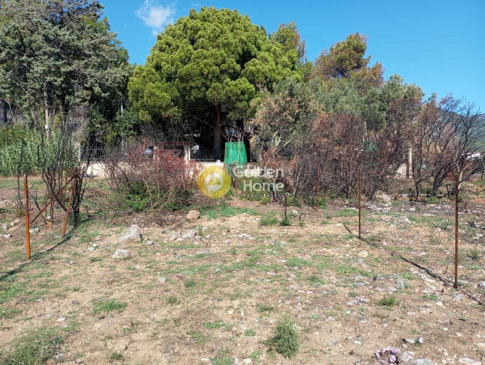 Building Plot in Politechneio, Exarchia - Neapoli — Photo 5 of 7