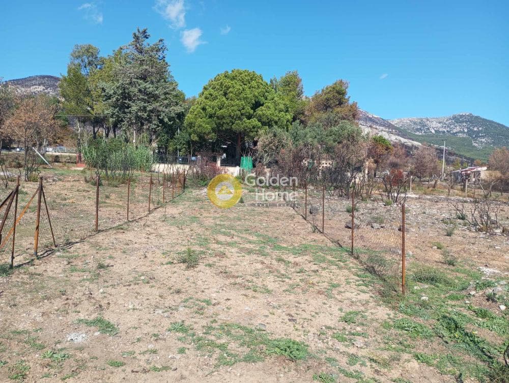 Building Plot in Politechneio, Exarchia - Neapoli — Photo 7 of 7