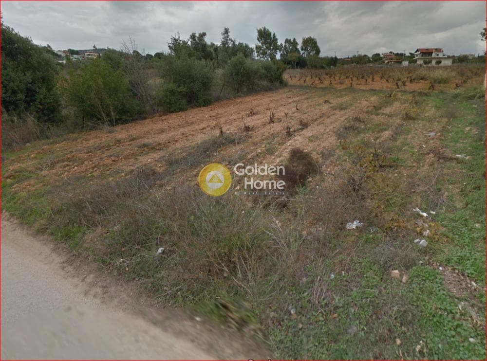 Parcel in Neapoli, Spata — Photo 3 of 3